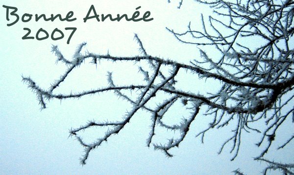 Bonne Année 2007 !