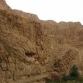 (5.00) Gorges et laurier-rose. - (IMG_0199.jpg)
