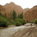 (5.00) Dans les gorges. - (IMG_0202.jpg)