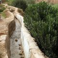Canaux d'irrigation. - (IMG_0252.jpg)