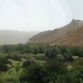 Paysage. - (IMG_0264a.jpg)