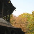 (5.00) Munich - Tour chinoise de l'Englischer Garten - (IMG_4740.JPG)