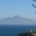 (67479) Le Vésuve vu de la côte sorrentine - (picture-205.jpg)