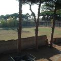 (2573) Pompéi - Grand palestre (gymnase) - (picture-221.jpg)
