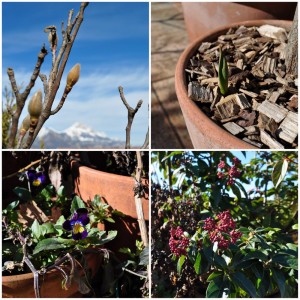 En février sur la terrasse