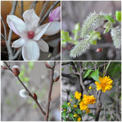 2010-Fleurs en mars