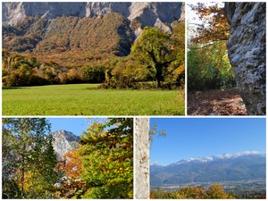 Balade d'automne à St Ismier