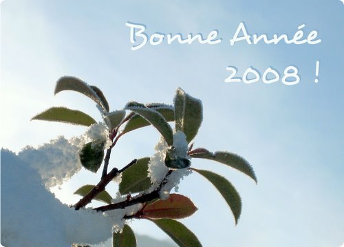 Bonne Année 2008 !