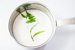 La verveine infuse dans le lait