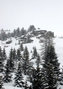 Neige depuis le télésiège des Jeux - Valmenier