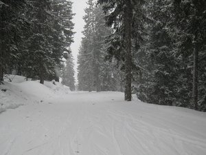 Arêches - sur le chemin vers Piapolay