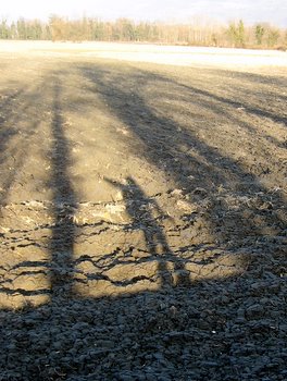 Silhouette dans les champs