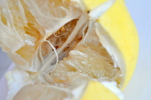 Pomelo chinois