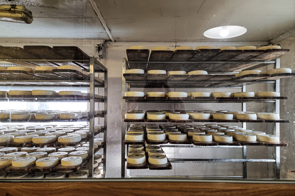 Reblochon tout frais Reblochon tout frais