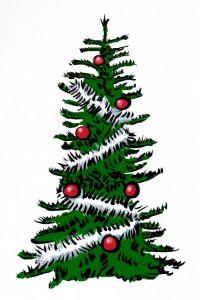 Sapin