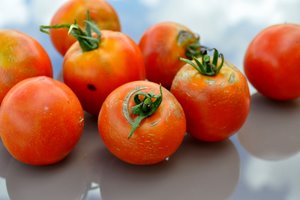 Tomates du jardin