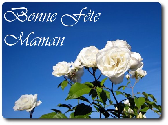 Bonne Fête Maman